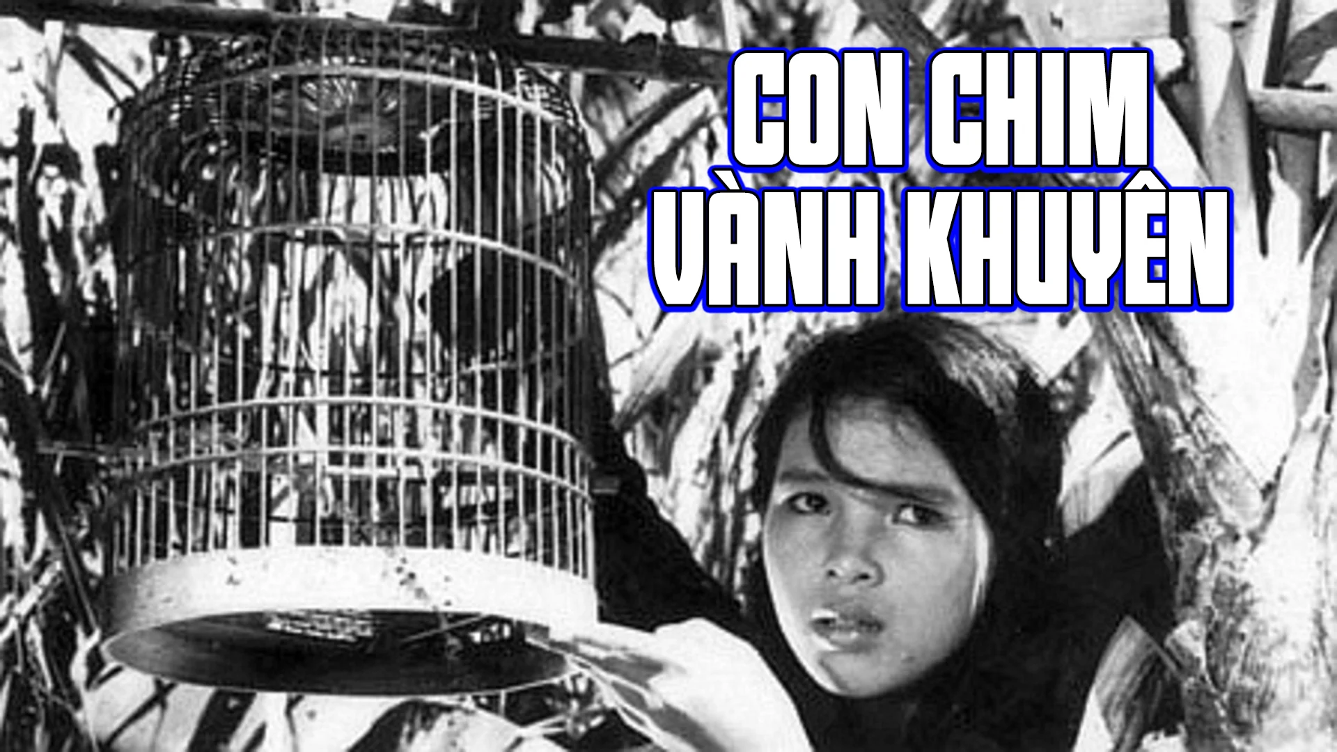 Con Chim Vành Khuyên Full